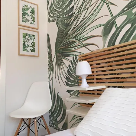 Vina 41 Apartman